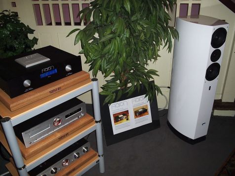 AudioPro DC 100 Avanti mit AARON Verstärker - hochmusikalisch und homogen .